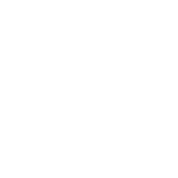 icoFacebook